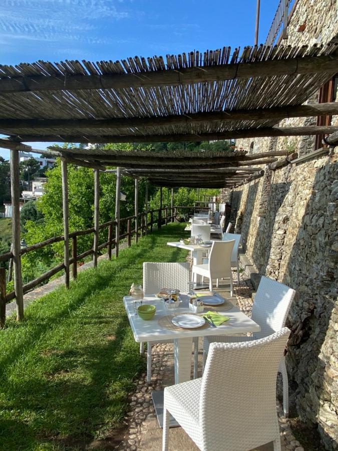 Paradiso Di Manu Noli Kültér fotó