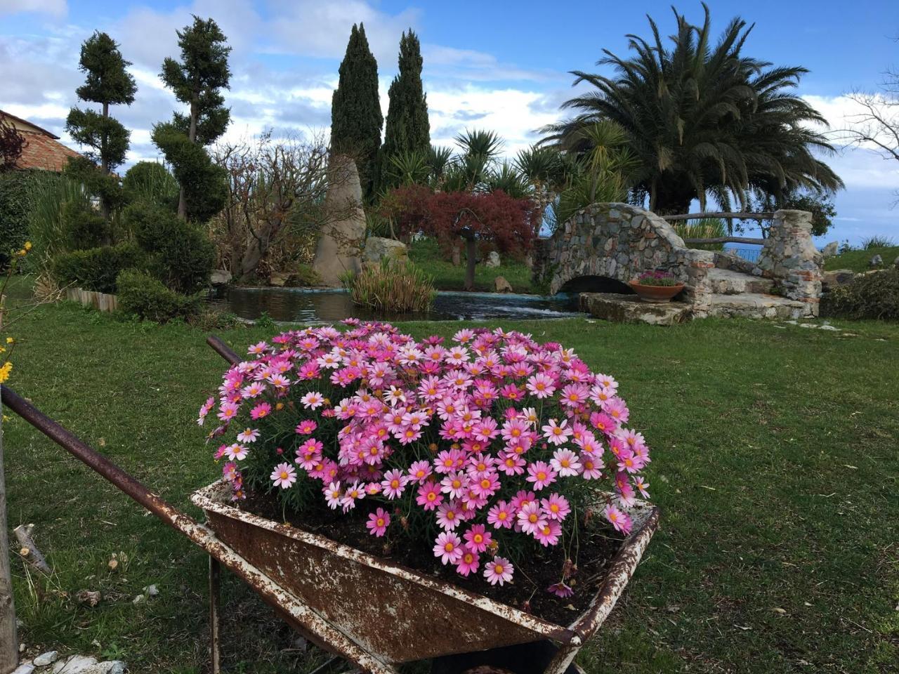 Paradiso Di Manu Noli Kültér fotó